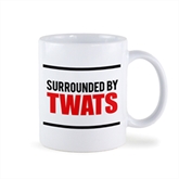 Thumbnail 12 - Surrounded by Twats Mug