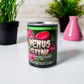 Thumbnail 4 - Venus Fly Trap in a Tin