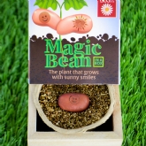 Thumbnail 1 - Grow Your Own Magic Lucky Bean in a Box