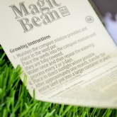 Thumbnail 4 - Grow Your Own Magic Lucky Bean in a Box