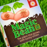 Thumbnail 6 - Grow Your Own Magic Lucky Bean in a Box