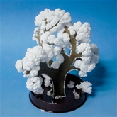 Thumbnail 3 - Science Museum Grow Your Own Magic Trees