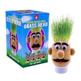 Thumbnail 1 - Grow Your Own Grass Head