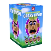 Thumbnail 4 - Grow Your Own Grass Head