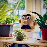 Thumbnail 2 - Grow Your Own Grass Head