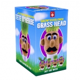 Thumbnail 3 - Grow Your Own Grass Head
