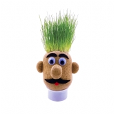 Thumbnail 5 - Grow Your Own Grass Head
