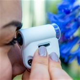 Thumbnail 3 - World's Smallest Microscope