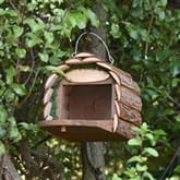 Thumbnail 2 - 2-in-1 Squirrel Feeder and Bird Nesting Box