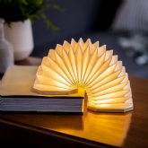 Thumbnail 1 -  Smart Accordian Lamp