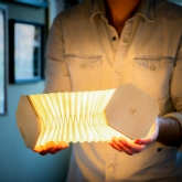 Thumbnail 10 -  Smart Accordian Lamp