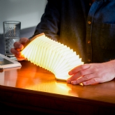 Thumbnail 3 -  Smart Accordian Lamp