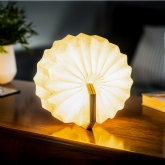 Thumbnail 5 -  Smart Accordian Lamp