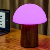 Thumbnail 4 - Wooden Mushroom Lamps