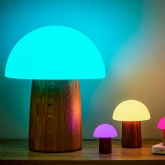 Thumbnail 1 - Wooden Mushroom Lamps