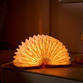 Thumbnail 10 - Velvet Accordian Lamps