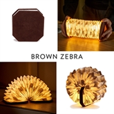 Thumbnail 5 - Velvet Accordian Lamps