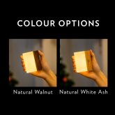 Thumbnail 2 - Gingko CuraCheese Night Lights