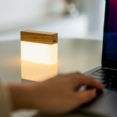 Thumbnail 4 - Gingko CuraCheese Night Lights