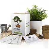 Thumbnail 1 - Grow Your Own Bonsai Trees