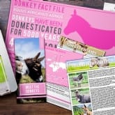 Thumbnail 2 - Adopt A Donkey Gift Pack