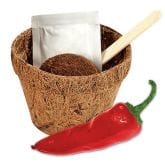 Thumbnail 1 - Grow Your Own Chilli Plants Kit