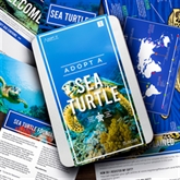 Thumbnail 1 - Adopt a Sea Turtle Gift Pack