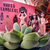 Thumbnail 11 - Mini Plant Pot Naked Ramblers