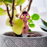 Thumbnail 9 - Mini Plant Pot Naked Ramblers