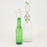 Thumbnail 6 - Botanical Bottle Top Growing Kits
