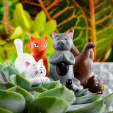 Thumbnail 1 - Mini Plant Pot Yoga Cats