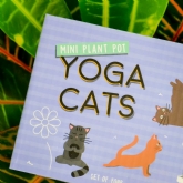 Thumbnail 2 - Mini Plant Pot Yoga Cats