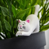 Thumbnail 6 - Mini Plant Pot Yoga Cats
