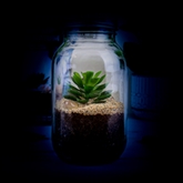 Thumbnail 4 - Solar Powered Light Up Terrarium