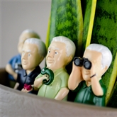 Thumbnail 7 - Attenborough Explorer Plant Markers