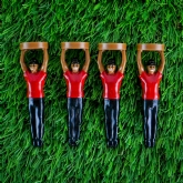 Thumbnail 4 - Tiger Golf Tees