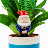 Thumbnail 2 - Self Watering Peeing Planter Gnome