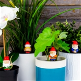 Thumbnail 1 - Naughty Gnomes Plant Markers