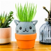 Thumbnail 4 - Cat Grow Pal