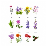 Thumbnail 2 - Personalised Birth Month Flower Can Glass