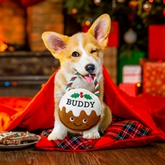 Thumbnail 1 - Named Christmas Pudding Dog Toys