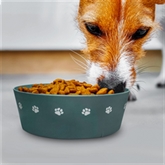 Thumbnail 4 - "A House is not a Home" Dog Bowl