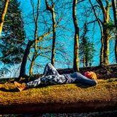 Thumbnail 2 - Yoga and Forest Bathing in Brighton