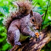 Thumbnail 7 - Yoga and Forest Bathing in Brighton