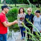 Thumbnail 5 - Forage in London - The Edible City