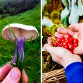Thumbnail 8 - Forage in London - The Edible City