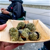 Thumbnail 11 - Coastal Foraging & Feasting