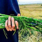 Thumbnail 3 - Coastal Foraging & Feasting