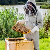 Thumbnail 1 - Hiver's Rural Beekeeping and Beer Tasting