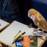 Thumbnail 1 - Wild Life Drawing in London - For Two